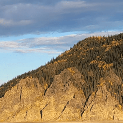 ALASKA NATURE TOUR